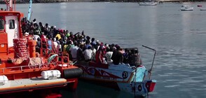 Спасиха 162 мигранти край Канарските острови (ВИДЕО)